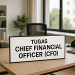 Tugas Chief Financial Officer